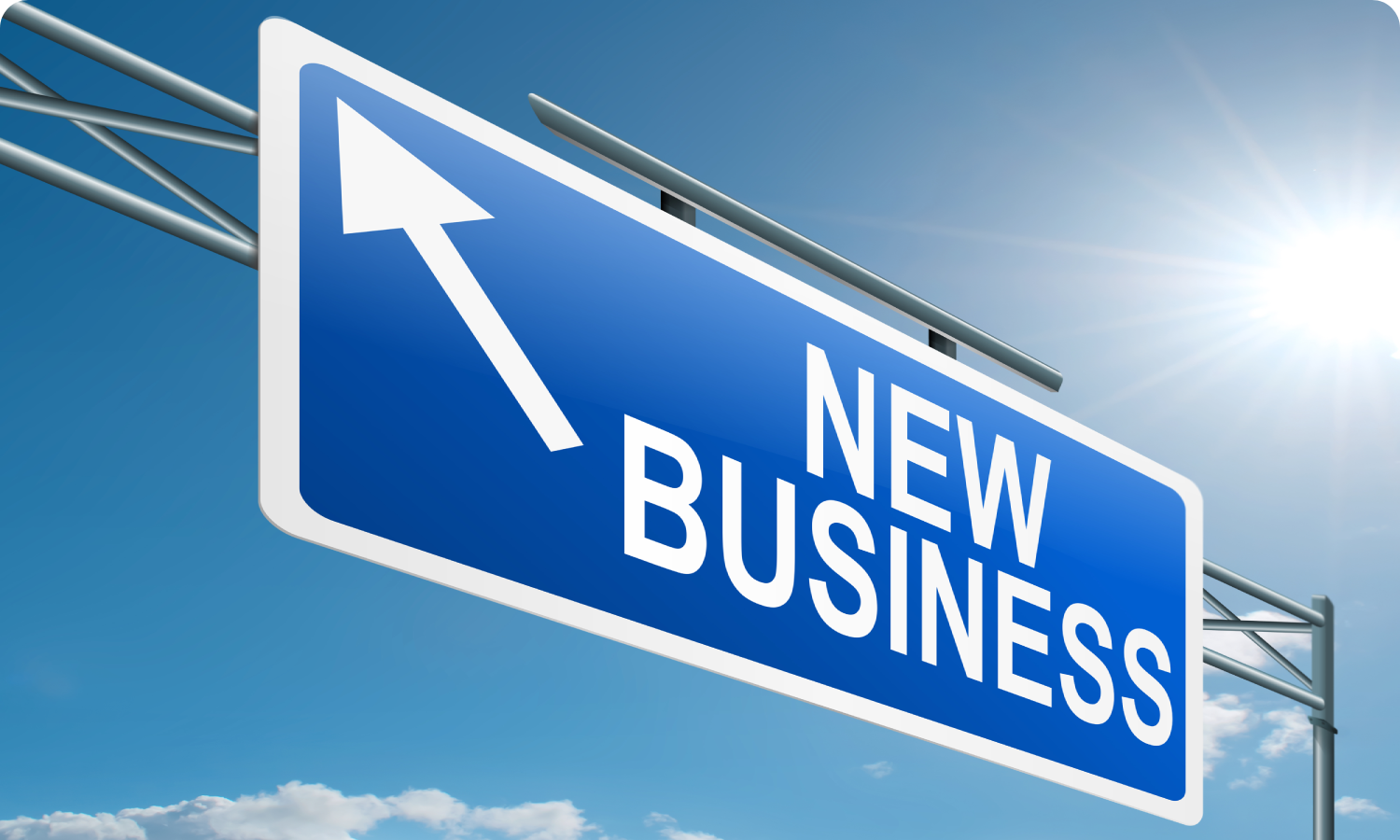 Launching a New Business Venture